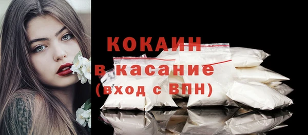 тгк Богородицк