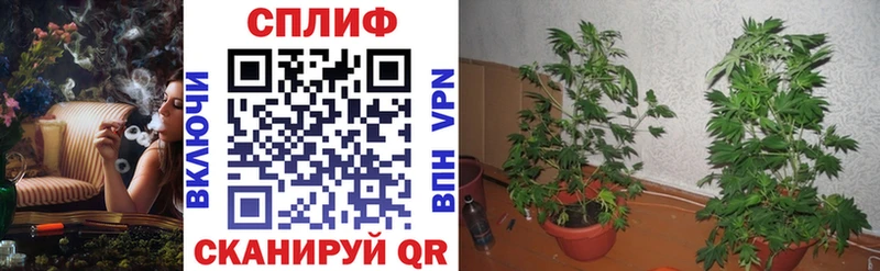 наркошоп  mega   Бошки марихуана план  Тюмень 